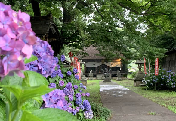 智識寺